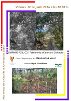 /album/proxima-conferencia/caminos-publicos-jpg/